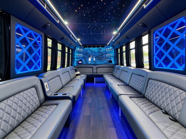 28 passenger party bus interior
